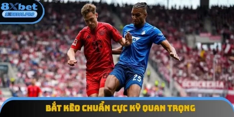 Bắt kèo chuẩn là một việc quan trọng vì ảnh hưởng đến tài chính của người chơi