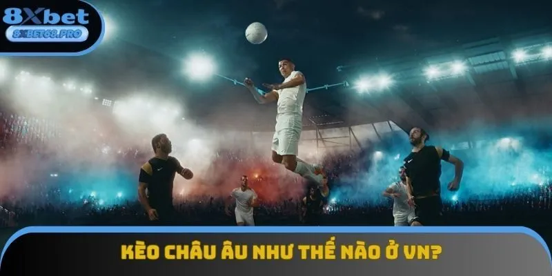 Kèo châu Âu rất được yêu thích tại thị trường Việt Nam